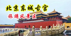男人插曲女人视频午夜影院中国北京-东城古宫旅游风景区